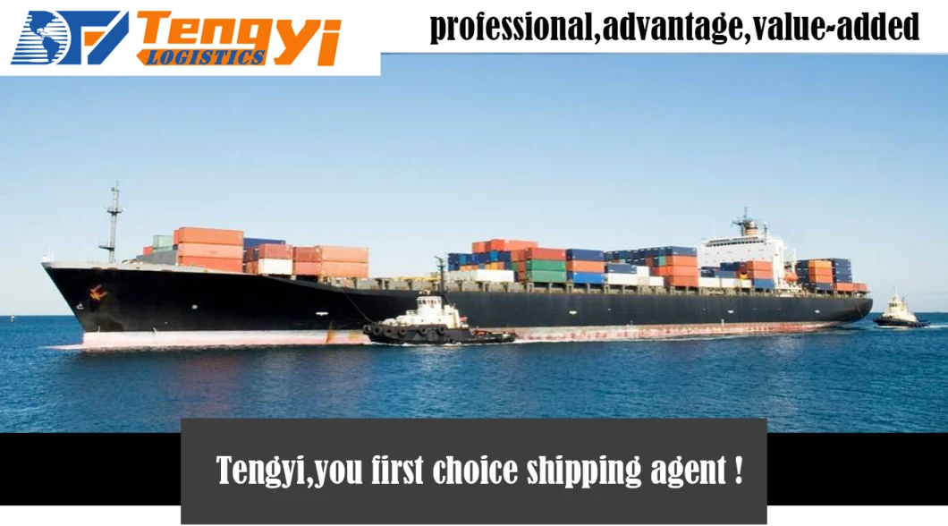 Sea /Railway Freight Logistics Service Shipping Cost to Europe USA Australia DDP DDU for Alibaba Amazon Buyer