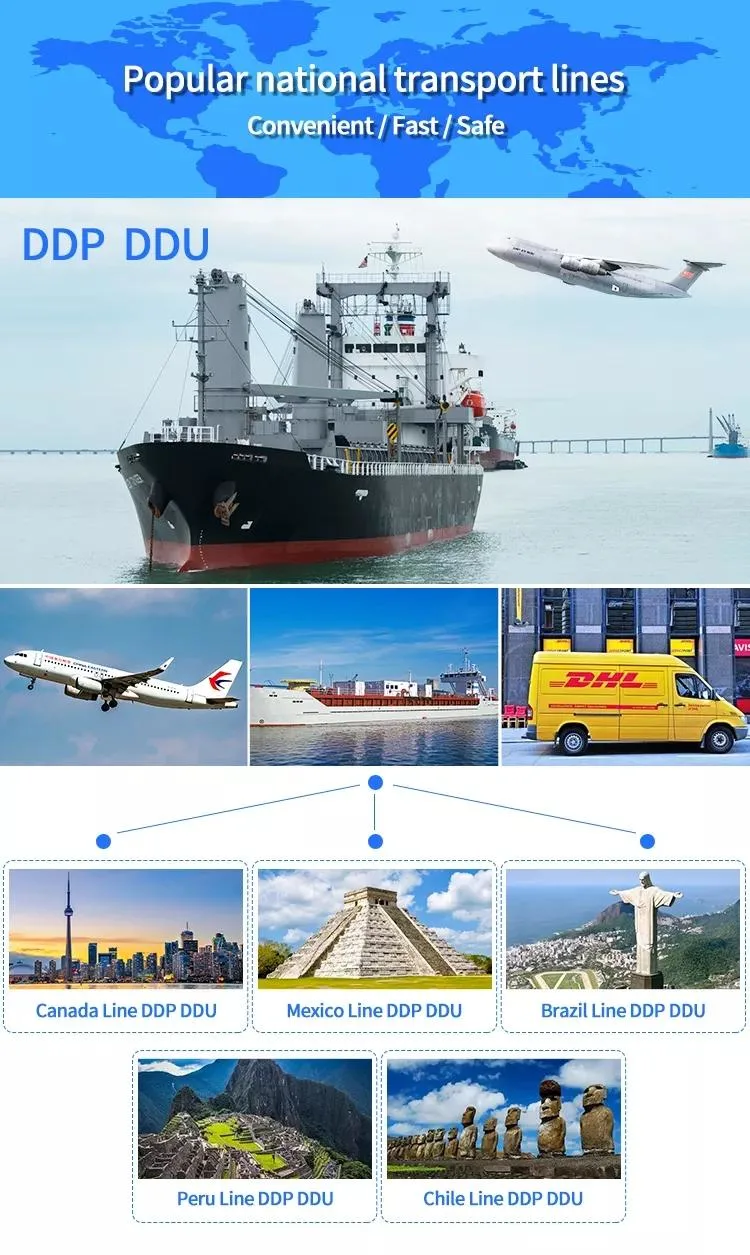 Shipment Sea Freight Worldwide Shipping Agent in Shenzhen China Door to Door Forwarder to France Canada USA